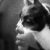 Profila bilde steamkitsAdmin